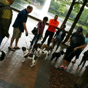 DFW Dog Whisperers - A Balanced Dog is a Slice of Heaven. Call us today. We train people and dogs. ;-) 972-665-6531 info@DFWDogWhisperers.com - Pet Training Near Me DFW Dog Whisperers - A Balanced Dog is a Slice of Heaven. Call us today. We train people and dogs. ;-) 972-665-6531 info@DFWDogWhisperers.com - Pet Training Near Me