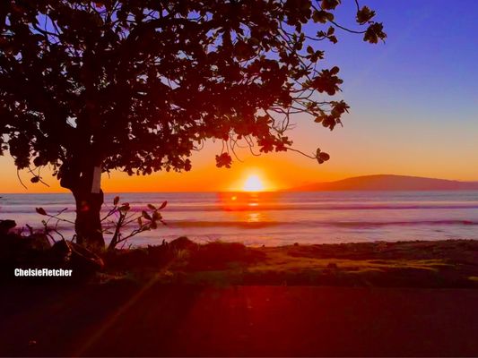 Olowalu Beach by null