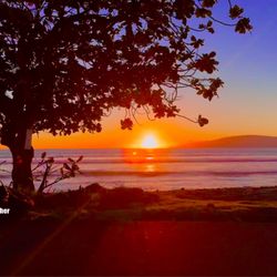 Olowalu Beach
