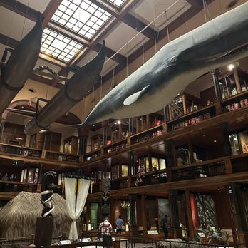 Bishop Museum - Museums Near Me - Honolulu, Hawaii Bishop Museum - Museums Near Me - Honolulu, Hawaii