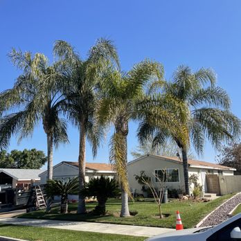 Edmar Tree Service & Landscaping - Before - Landscaping Near Me Edmar Tree Service & Landscaping - Before - Landscaping Near Me