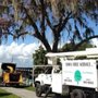 Photo of Tom's Tree Service
