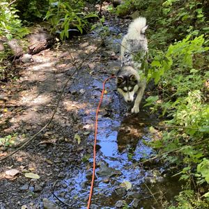 Waterdog Lake & Open Space on Yelp
