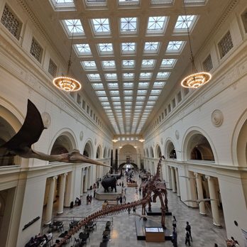 Field Museum Store - Museums Near Me - Chicago, Illinois