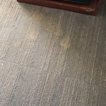 Hampton Inn Raleigh/Cary - Stain dirty sticky carpets - Hotels Near Me - Cary, North Carolina Hampton Inn Raleigh/Cary - Stain dirty sticky carpets - Hotels Near Me - Cary, North Carolina