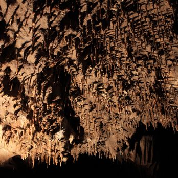 California Cavern State Historic Landmark - Cave straws - Walking Tours Near Me - Mountain Ranch, California