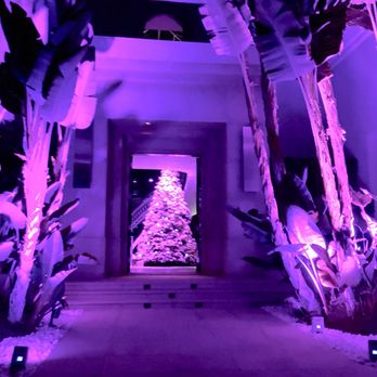 L.A. Event Lights & Design - Holiday event lighting. - Party Equipment Rentals Near Me - West Hollywood, California L.A. Event Lights & Design - Holiday event lighting. - Party Equipment Rentals Near Me - West Hollywood, California