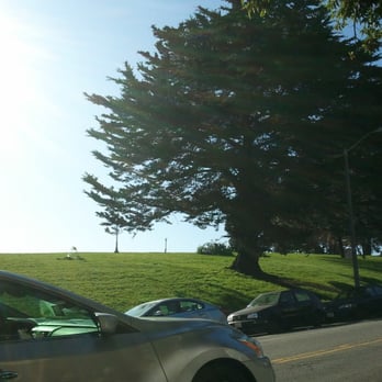 Alamo Square - Damn car drove by right when I took the photo! - Parks Near Me - San Francisco, California Alamo Square - Damn car drove by right when I took the photo! - Parks Near Me - San Francisco, California