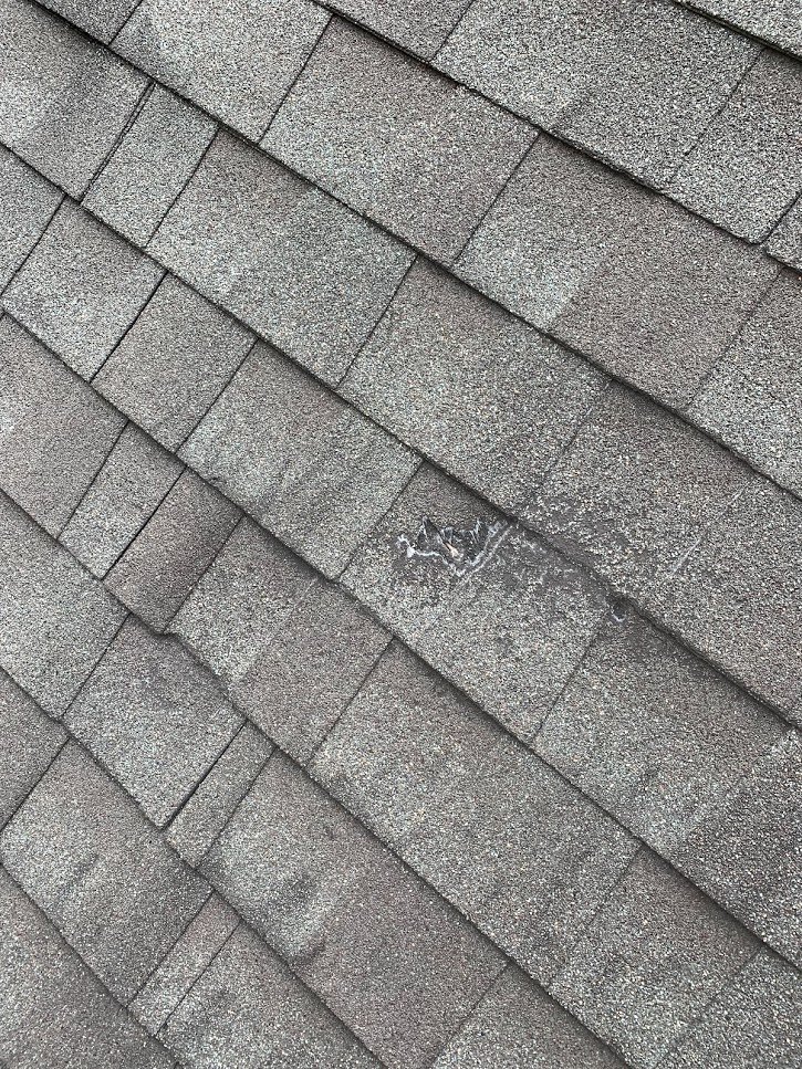 Slide of Kahlo Construction