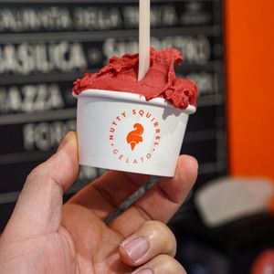 Nutty Squirrel Gelato - Phinney Ridge on Yelp