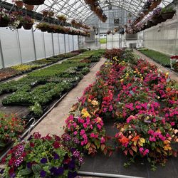 Joe's Gardens