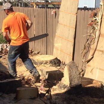Charles Tree Service - Tree Services Near Me - Lemon Grove, California Charles Tree Service - Tree Services Near Me - Lemon Grove, California