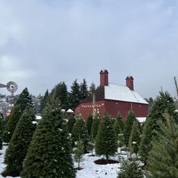 Trees for sale and red barn