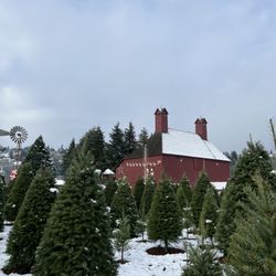 Red Barn Tree Farm - Trees for sale and red barn