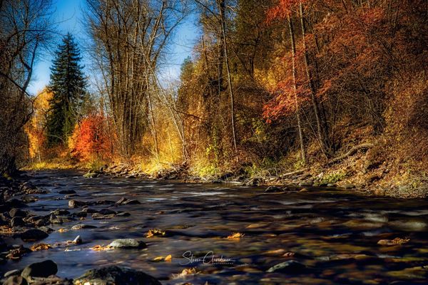 Greenough Park by null