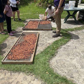 21 Degrees Estate - Fermentation - Tours Near Me - Kaneohe, Hawaii