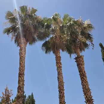 Express Landscapes - Landscaping Near Me - Las Vegas, Nevada
