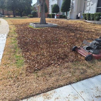 Jose Lawn Service - Lawn Services Near Me - Royse City, Texas Jose Lawn Service - Lawn Services Near Me - Royse City, Texas
