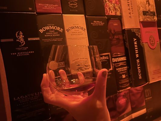 Brandy Library by null