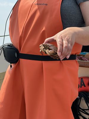 Rugosa Lobster Tours by null