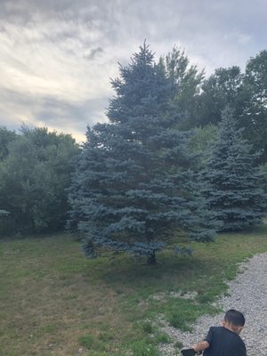 Benson Park by null