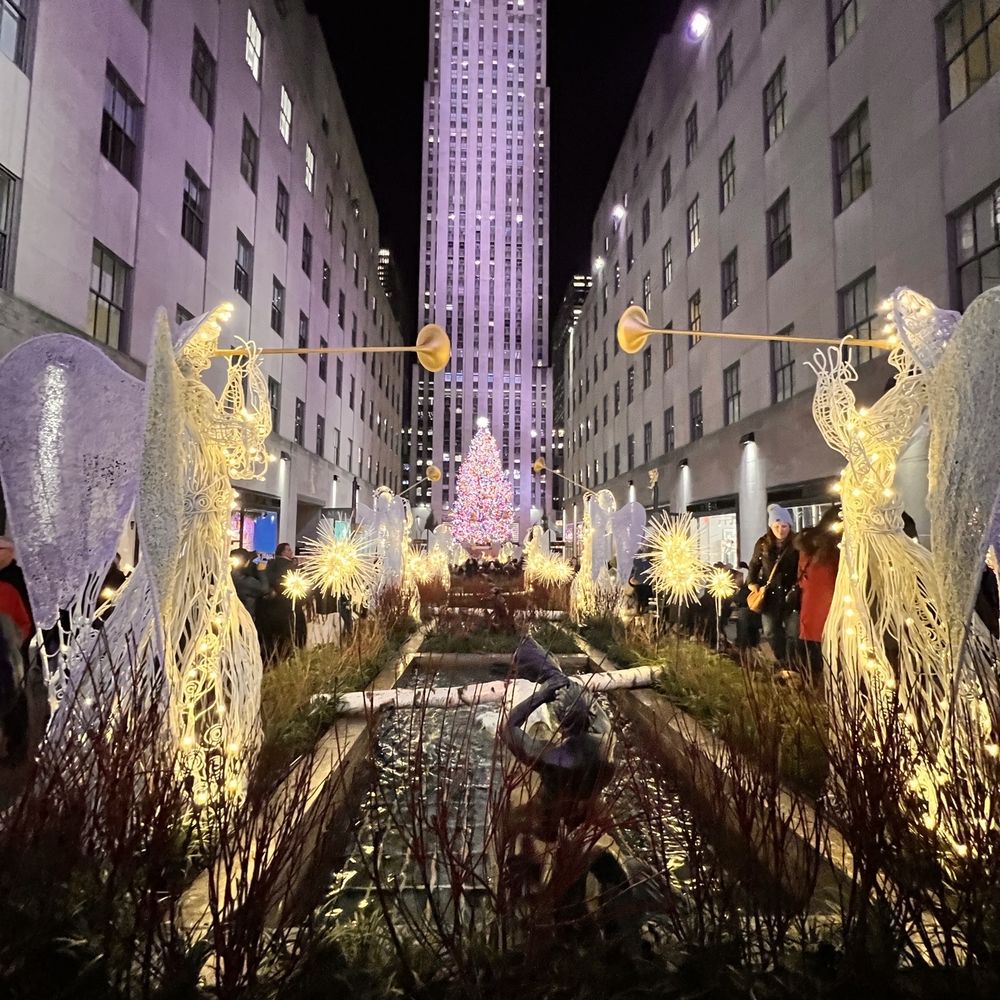 Rockefeller Center Christmas Tree - 12/14/23 - Christmas Trees Near Me - New York, New York Rockefeller Center Christmas Tree - 12/14/23 - Christmas Trees Near Me - New York, New York