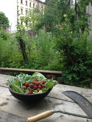 Café Botanico by null