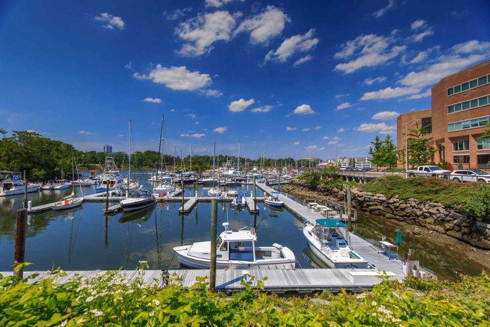 THE BEER GARDEN AT SHIPPAN LANDING 36 Photos & 53 Reviews Beer