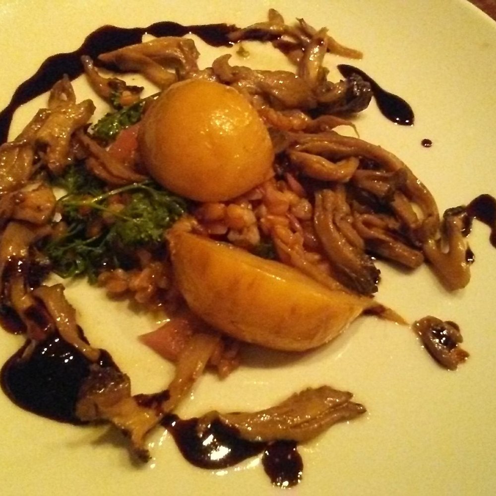 Forage - Mushroom with turnips and rye berry salad - Wine Bars Near Me - Cambridge, Massachusetts Forage - Mushroom with turnips and rye berry salad - Wine Bars Near Me - Cambridge, Massachusetts