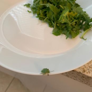 Trader Joe's - Bug in my triple washed Trader Joes arugula package!!! - Grocery Near Me - Torrance, California Trader Joe's - Bug in my triple washed Trader Joes arugula package!!! - Grocery Near Me - Torrance, California