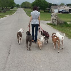 Sit Stay Home - A structured pack walk.
