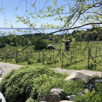 Willow Winery & Vineyard - The Vines & The Views - Wineries Near Me - Suttons Bay, Michigan Willow Winery & Vineyard - The Vines & The Views - Wineries Near Me - Suttons Bay, Michigan