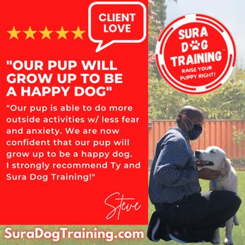 Sura Dog Training - From another of our 5-star Google reviews! - Pet Training Near Me Sura Dog Training - From another of our 5-star Google reviews! - Pet Training Near Me