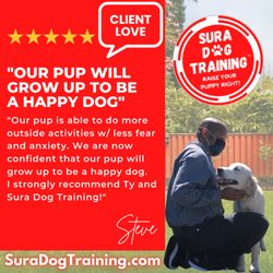 Sura Dog Training - From another of our 5-star Google reviews!