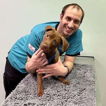 Central West End Veterinary Hospital - Our Head Tech Andrew with the most adorable pup, Suchi! - Veterinarians Near Me - St. Louis, Missouri Central West End Veterinary Hospital - Our Head Tech Andrew with the most adorable pup, Suchi! - Veterinarians Near Me - St. Louis, Missouri
