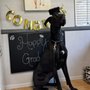 Photo of K9 Companions