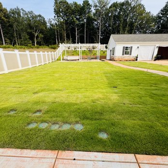 Main Street Sod - Artificial Turf Near Me - Charlotte, North Carolina Main Street Sod - Artificial Turf Near Me - Charlotte, North Carolina