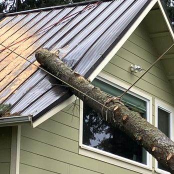 Henry Tree Service - Tree Services Near Me Henry Tree Service - Tree Services Near Me