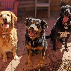 MoonDoggies - Dina (the young lady in the middle) hates getting her picture made and will run from the camera.