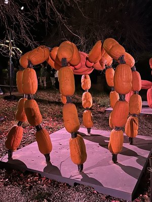 The Great Jack O’Lantern Blaze: Hudson Valley by null