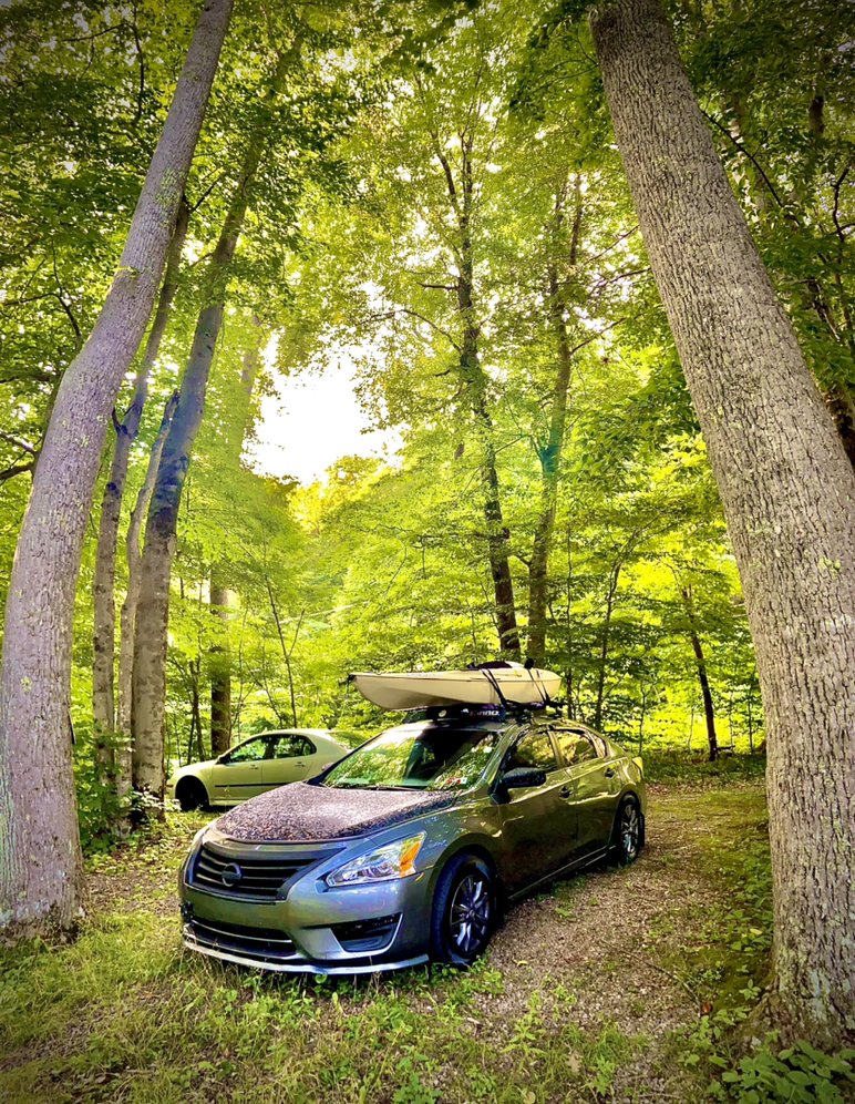 ELITE CAR DETAILING Updated October 2024 11 Photos 110 Kessla Way