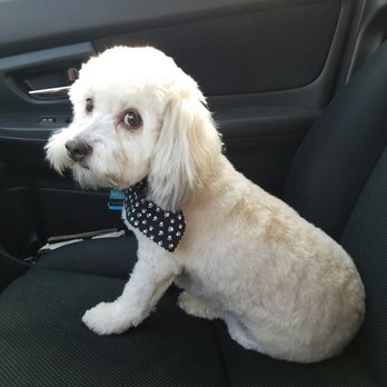 Pets Plus - My Winston - Pet Stores Near Me - Stafford, Virginia Pets Plus - My Winston - Pet Stores Near Me - Stafford, Virginia