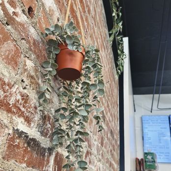 The Hangout - Decor design - Coffee & Tea Near Me - Lodi, California