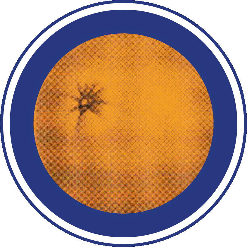 Food Forward - social services organization in Ventura, CA