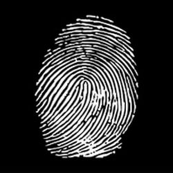 Nordest-investigations