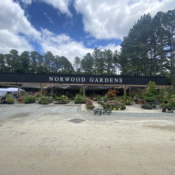 Norwood Gardens - Norwood Gardens, outside - Nurseries & Gardening Near Me - Raleigh, North Carolina Norwood Gardens - Norwood Gardens, outside - Nurseries & Gardening Near Me - Raleigh, North Carolina