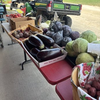 Apple Hill Farm - Fruits & Veggies Near Me - Concord, New Hampshire