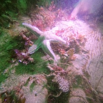Aquarius Dive Shop - Dive Shops Near Me - Monterey, California
