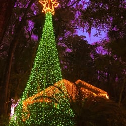 Celebration Of Lights