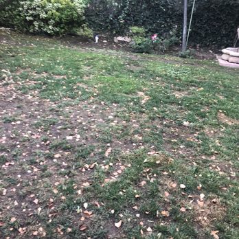 Greenview Turf - Before - Artificial Turf Near Me - Northridge, California